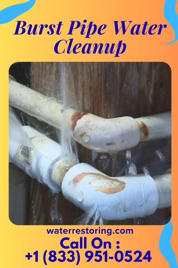 Burst Pipe Water Cleanup in McCord Bend, MO