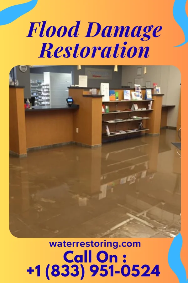 Flood Damage Restoration in McCord Bend, MO